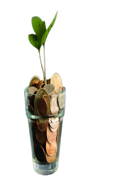 Your Trusted Partner in Financial Instruments